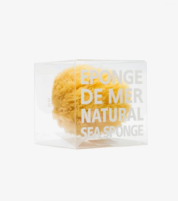 Natural Sea Sponge